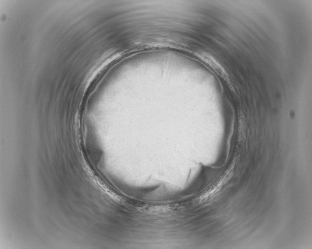 X0000059060798200511041727