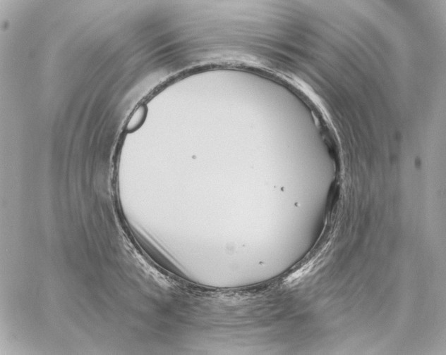 X0000059060799200511041727