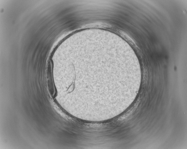 X0000059060800200511041727