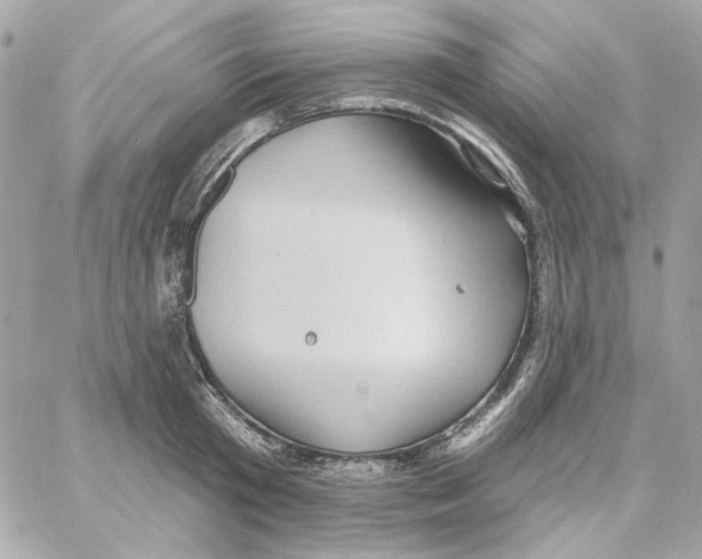 X0000059060801200511041727