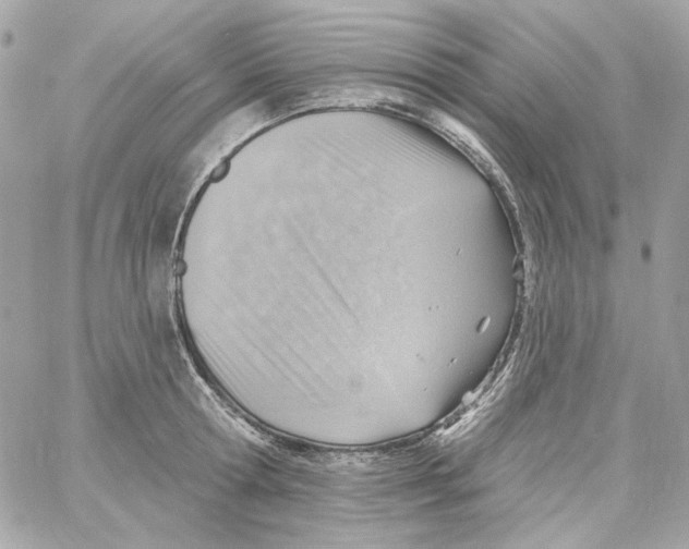 X0000059060802200511041727