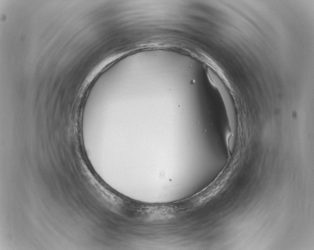 X0000059060803200511041727