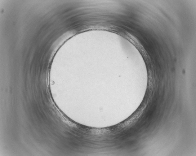 X0000059060804200511041727