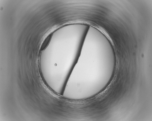 X0000059060805200511041727