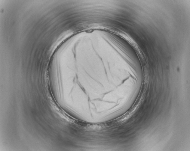 X0000059060806200511041727