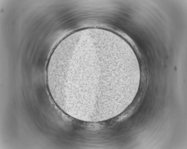 X0000059060807200511041727