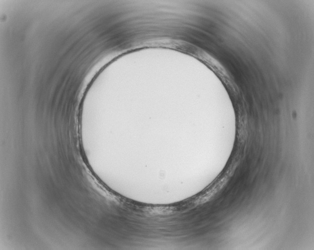 X0000059060808200511041727