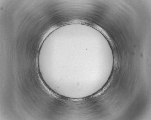 X0000059060810200511041727