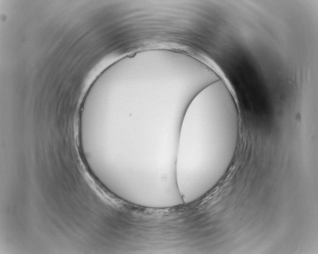 X0000059060811200511041727