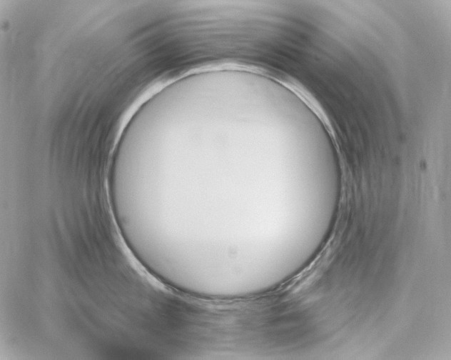 X0000059060813200511041727