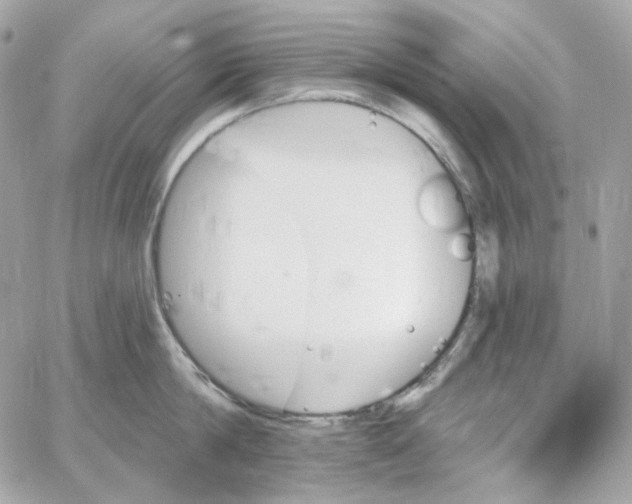 X0000059060814200511041727