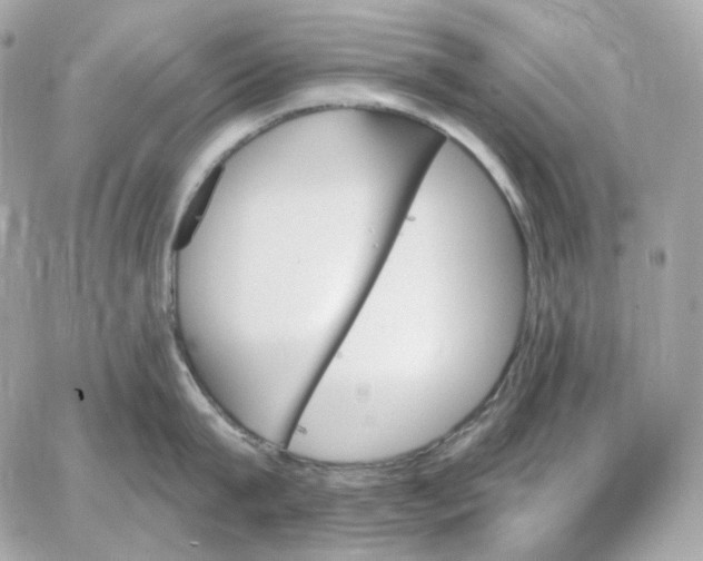 X0000059060815200511041727