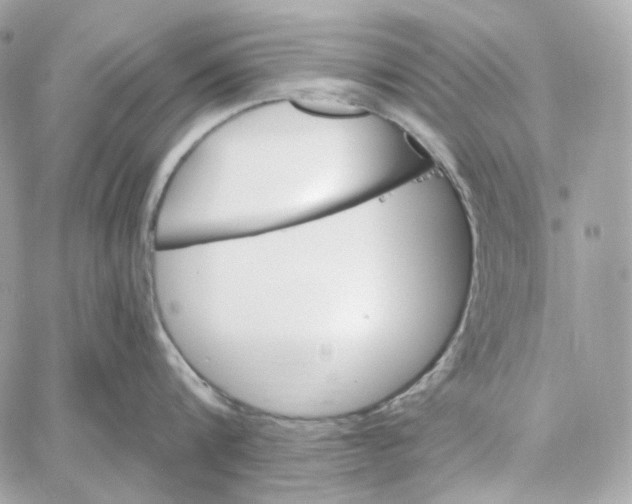 X0000059060816200511041727