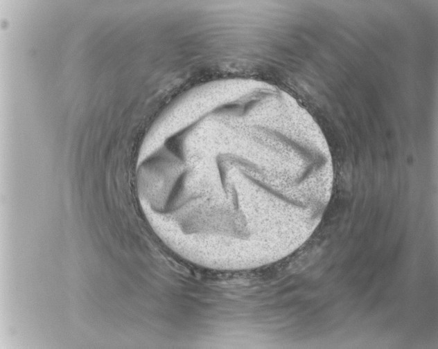 X0000059060817200511041726