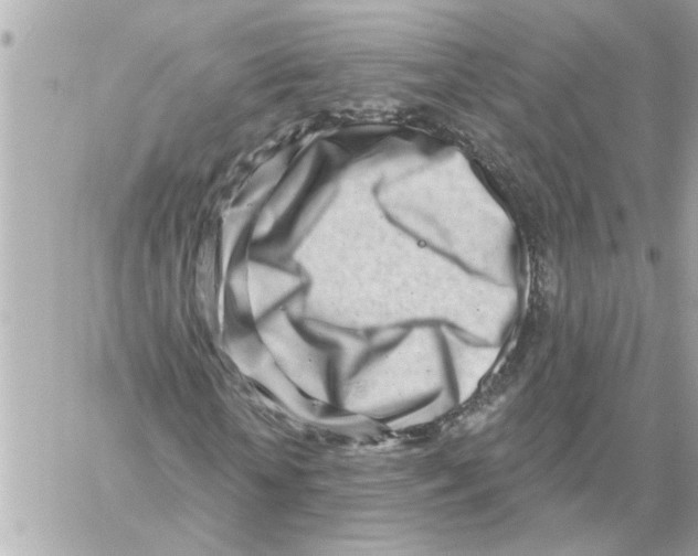 X0000059060818200511041726