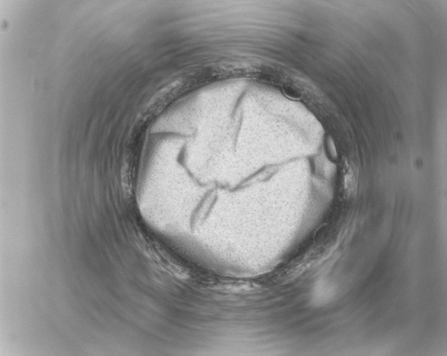 X0000059060819200511041726