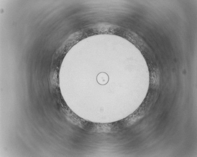 X0000059060820200511041726