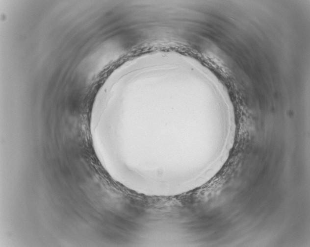 X0000059060824200511041726