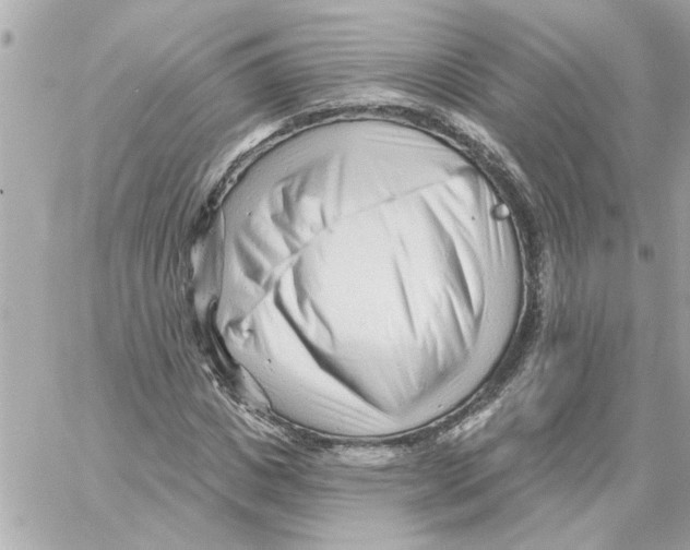 X0000059060825200511041726