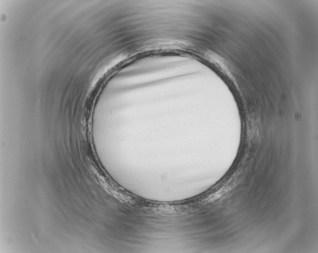 X0000059060827200511041726