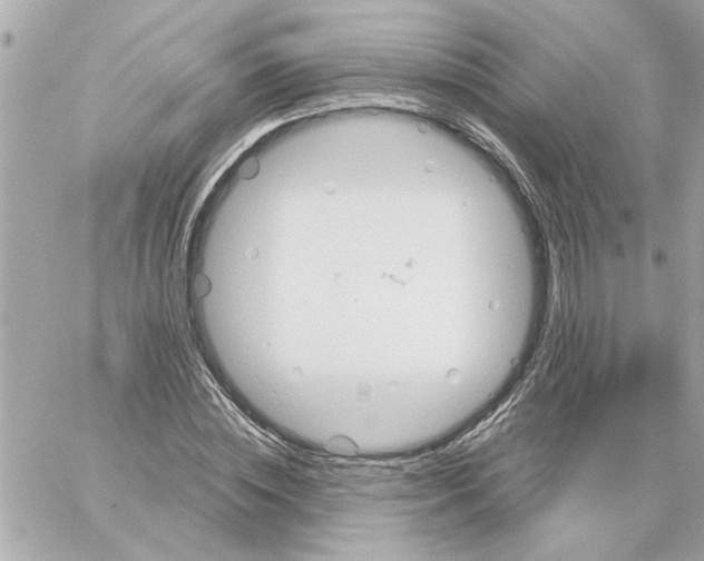 X0000059060828200511041726