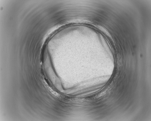 X0000059060831200511041726