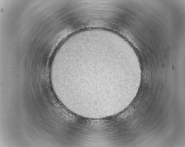 X0000059060832200511041726