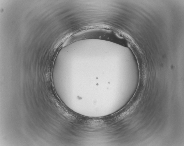 X0000059060833200511041726