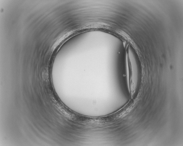 X0000059060834200511041726