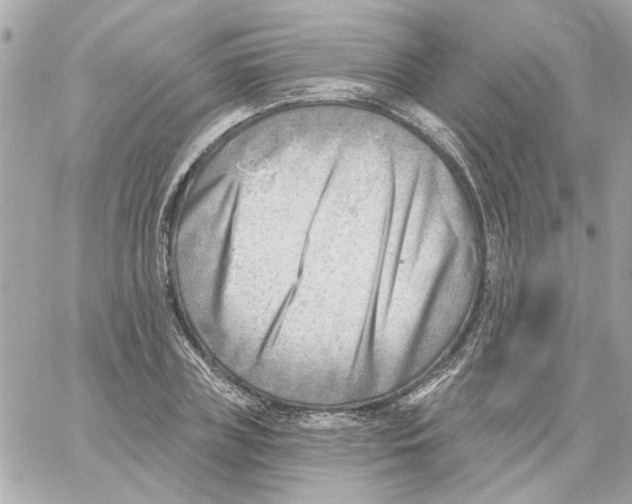 X0000059060835200511041726