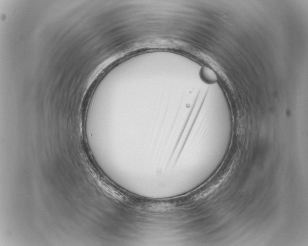 X0000059060837200511041726