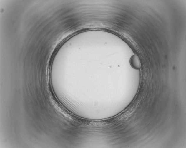 X0000059060840200511041726