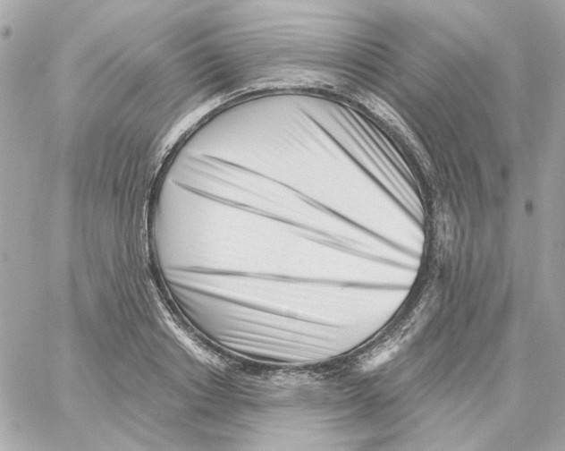 X0000059060842200511041726