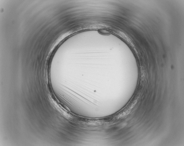 X0000059060843200511041726