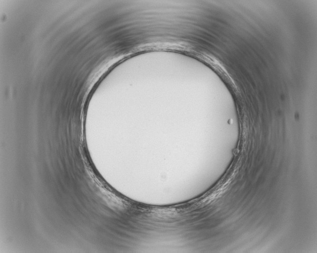 X0000059060844200511041726