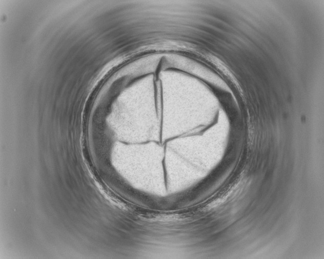 X0000059060845200511041726