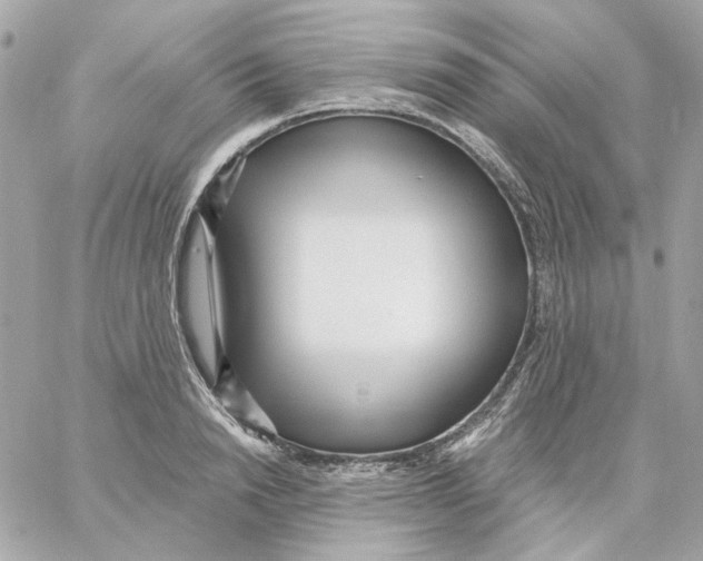 X0000059060846200511041726