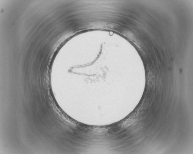 X0000059060848200511041726