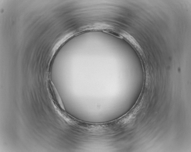 X0000059060850200511041727