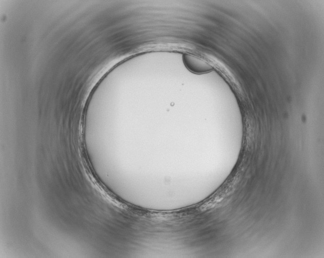 X0000059060852200511041727