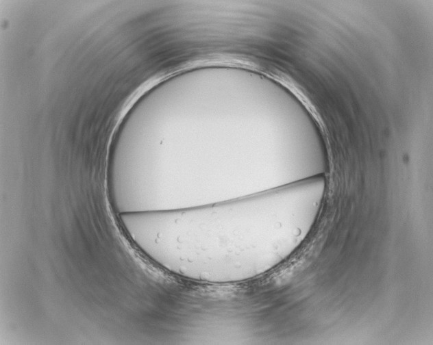 X0000059060853200511041727