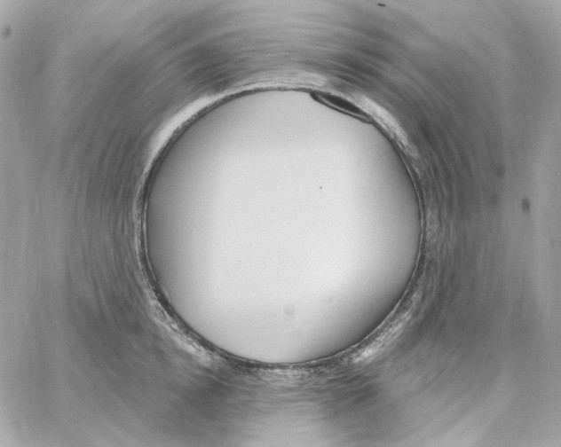 X0000059060854200511041727