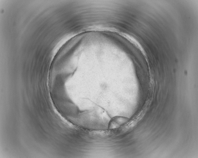 X0000059060855200511041727