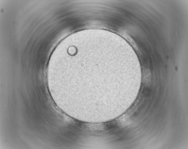 X0000059060856200511041727