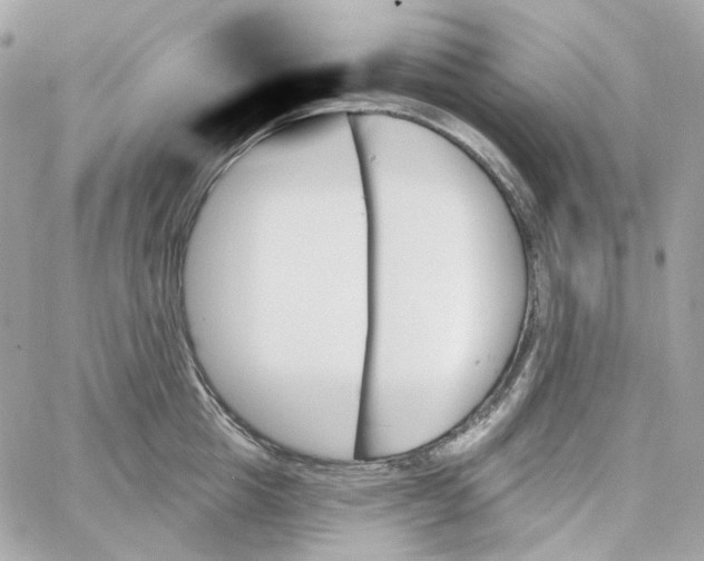 X0000059060857200511041727