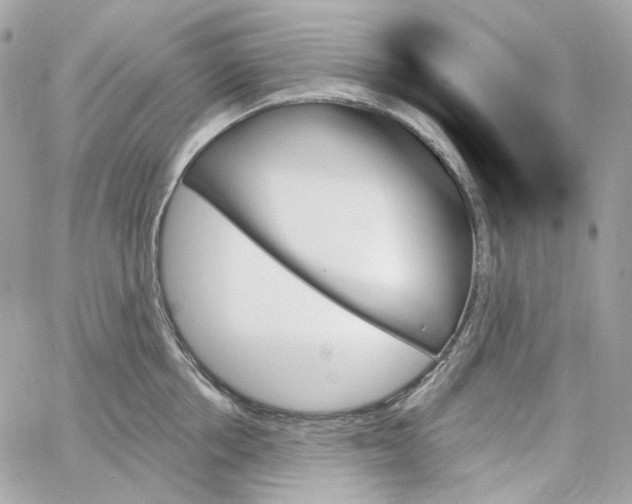 X0000059060858200511041727