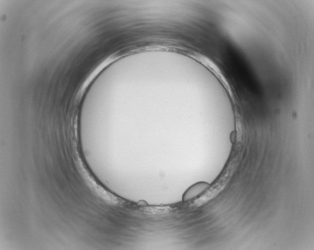 X0000059060859200511041727