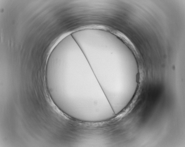 X0000059060860200511041727