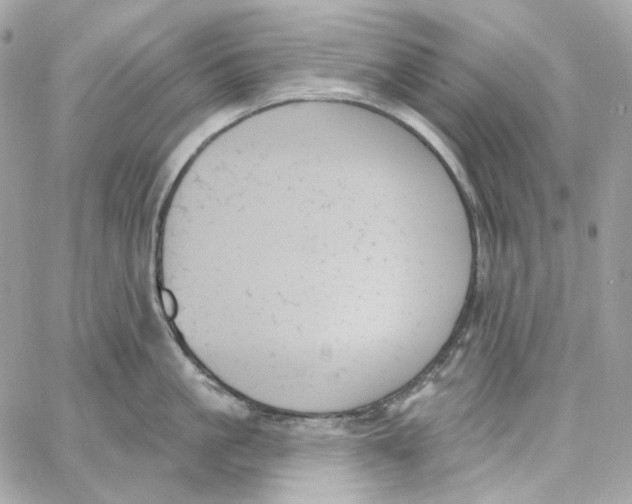 X0000059060861200511041727