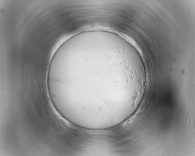 X0000059060863200511041727